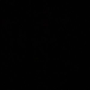 Meet your Posher, Peter